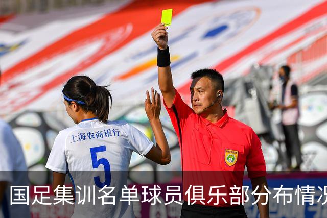 国足集训名单球员俱乐部分布情况：海港共5人入选、蓉城4将在列