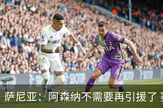 萨尼亚：阿森纳不需要再引援了 赛季最佳球员我选廷伯