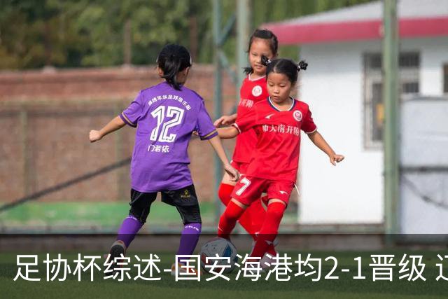 足协杯综述-国安海港均2-1晋级 辽宁浙江天津3中超队出局