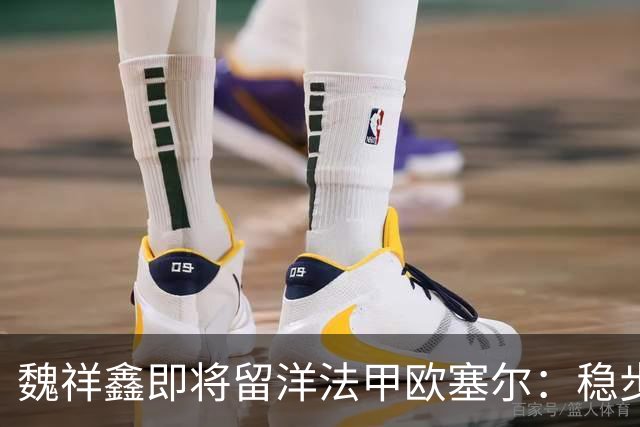 魏祥鑫即将留洋法甲欧塞尔：稳步成长，未来可期